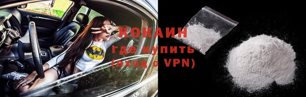 дмт Инсар