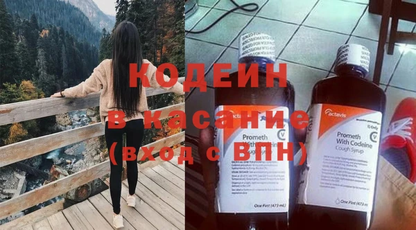 дмт Инсар