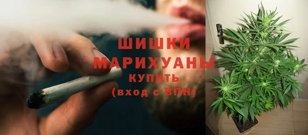 mdpv Инта