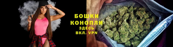 дмт Инсар