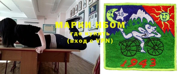 дмт Инсар