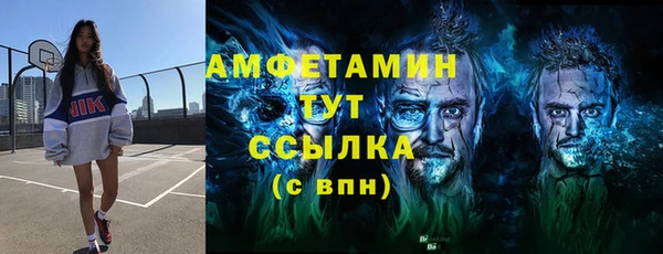 дмт Инсар
