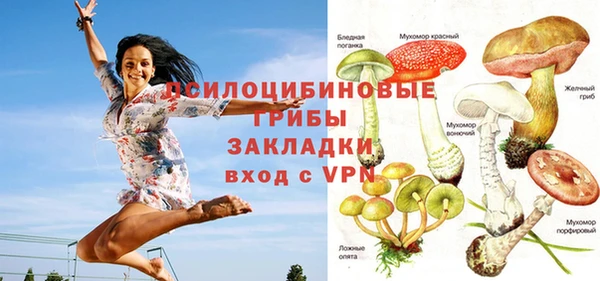 mdpv Инта