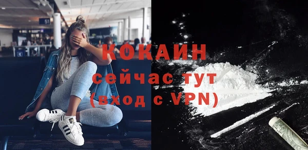 mdpv Инта