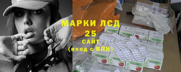дмт Инсар