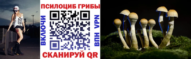 Купить закладки  Жигулёвск  Галлюциногенные грибы мухоморы 