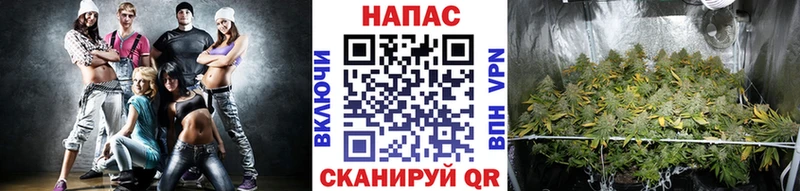 Каннабис AK-47  Купить закладки  Жигулёвск 